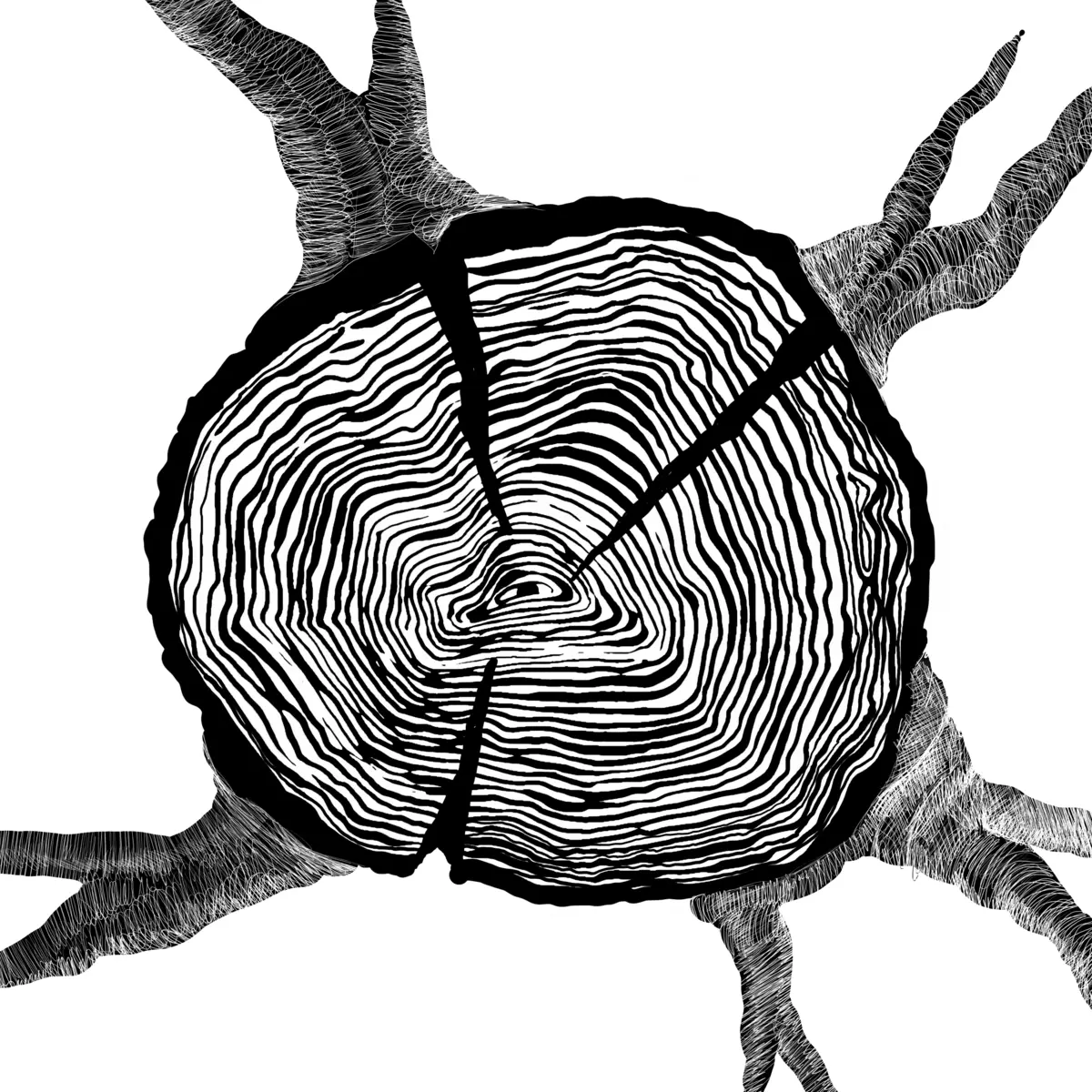 Pieniek — ilustracja z książki